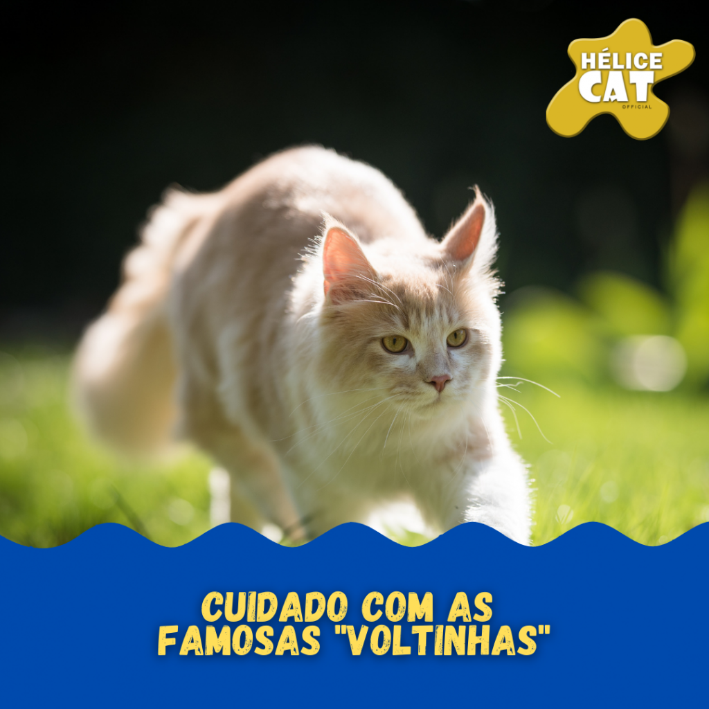 Cuidado com as famosas “voltinhas”