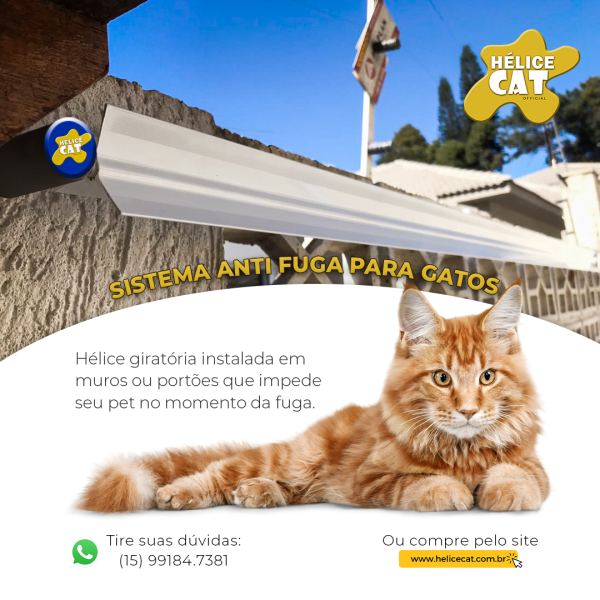 SISTEMA ANTI FUGA PARA GATOS